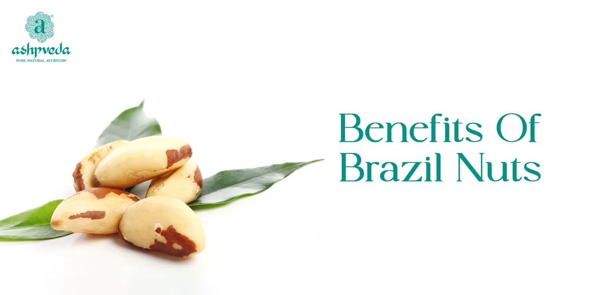 Benefits Of Brazil Nuts For Your Health, Hair, and Skin Ashpveda