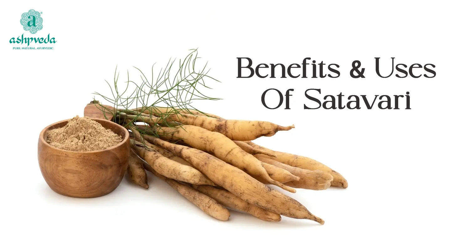 Satavari Benefits & Uses