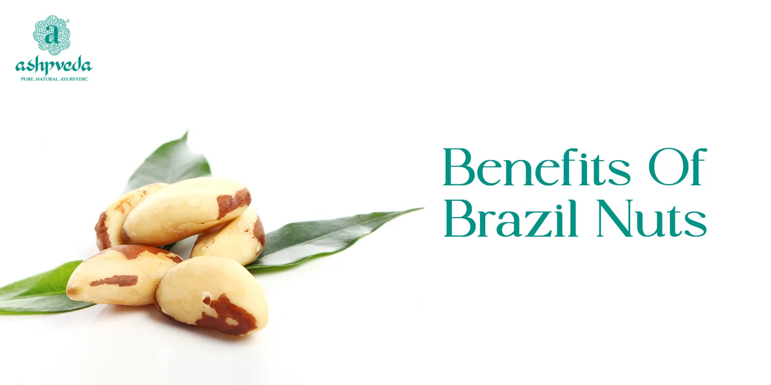 Benefits of Brazil Nuts for Health, Hair, and Skin - Ashpveda
