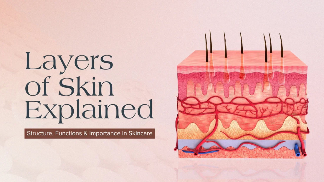 layers of skin explained