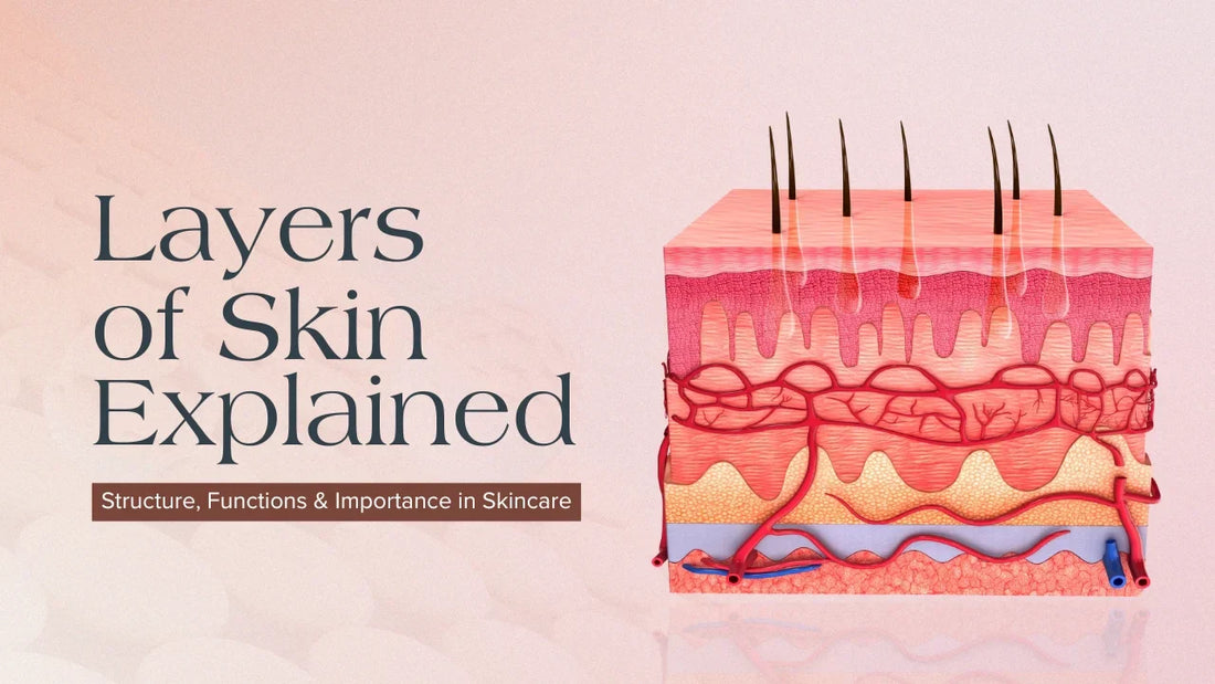 layers of skin explained