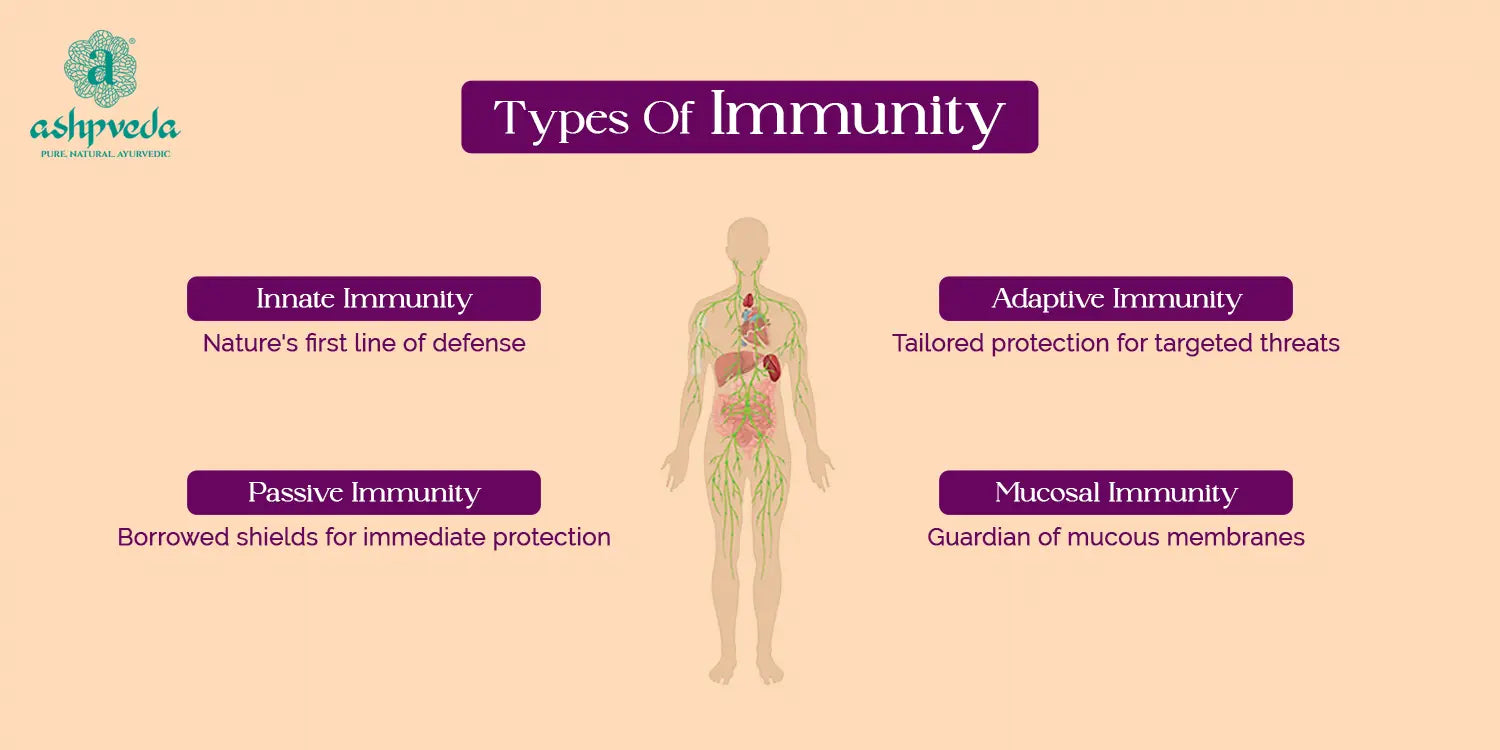 Types Of Immunity in Our Body | Ashpveda Blog