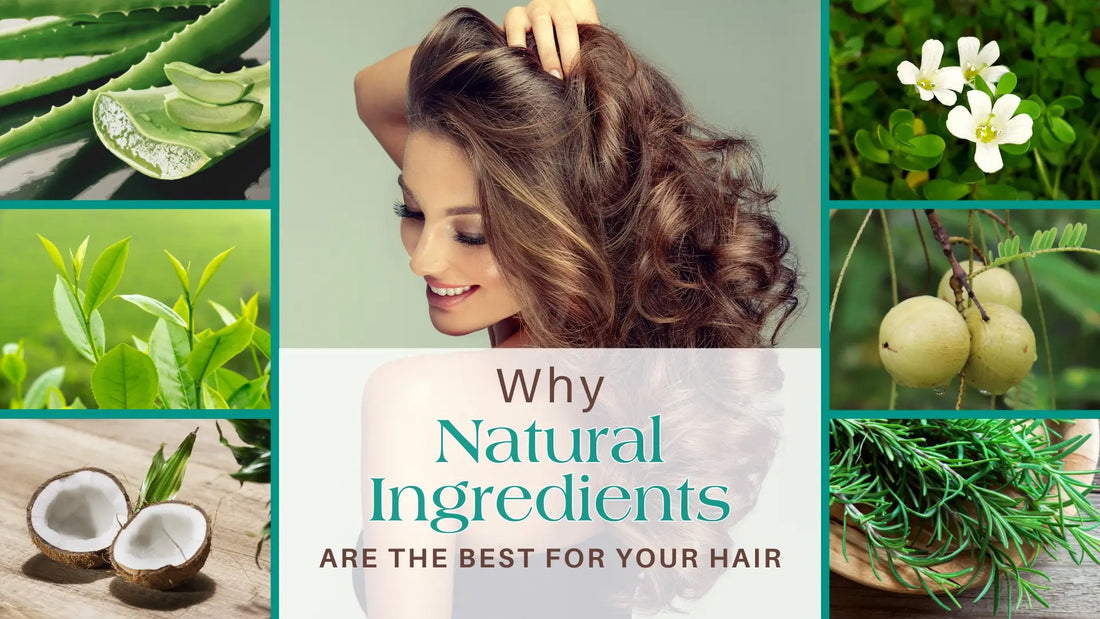 Natural Ingredients for hair - Ashpveda