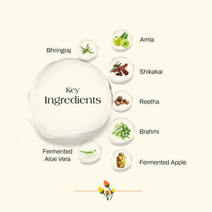 Shikakai and Bhringraj Hair Wash Shampoo & Conditioner Combo