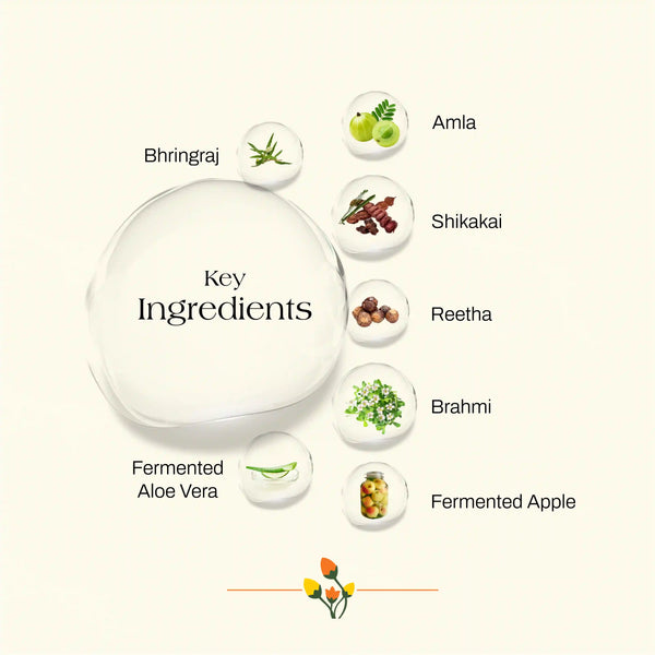 Shikakai and Bhringraj Hair Wash Shampoo & Conditioner Combo