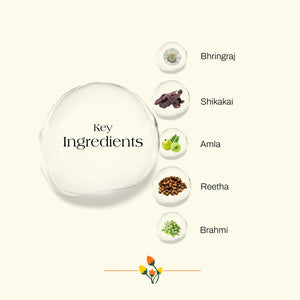 Bhringraj & Shikakai Hair Wash